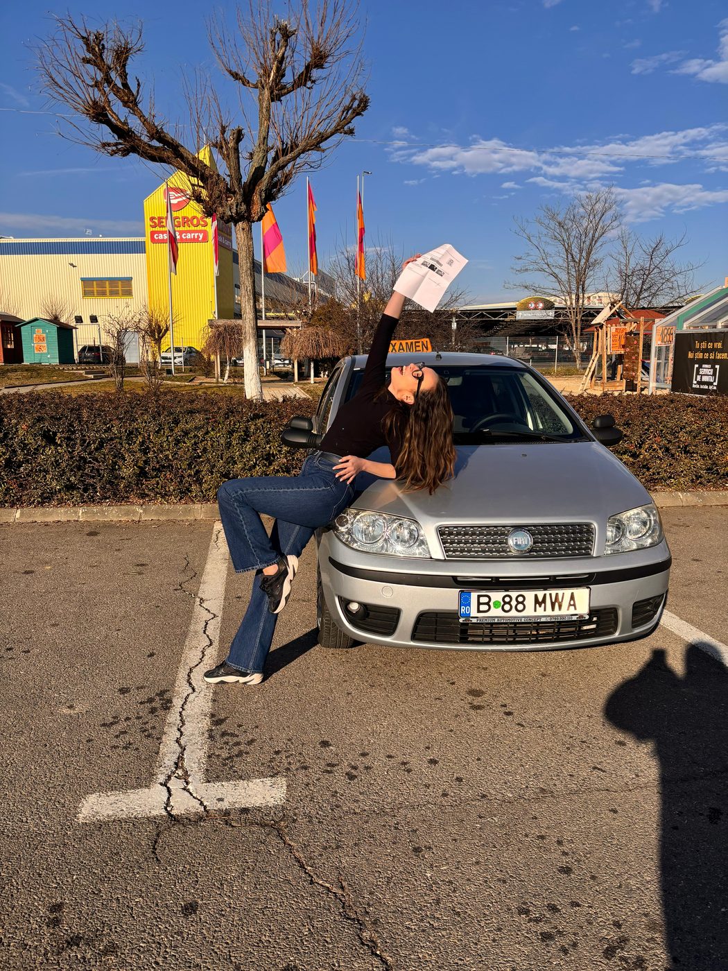 Reușită la volan